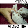 step6